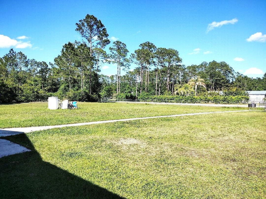 1558 CANDLEBERRY ST, BUNNELL, FL, 32110