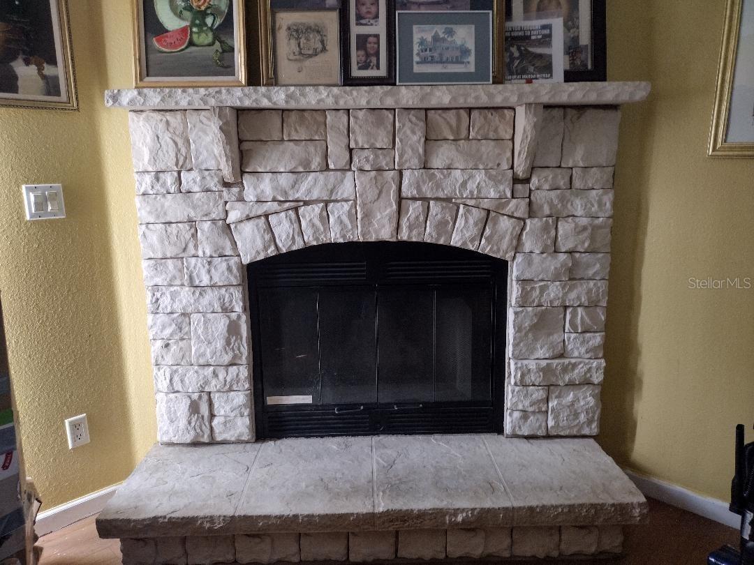 1558 CANDLEBERRY ST, BUNNELL, FL, 32110