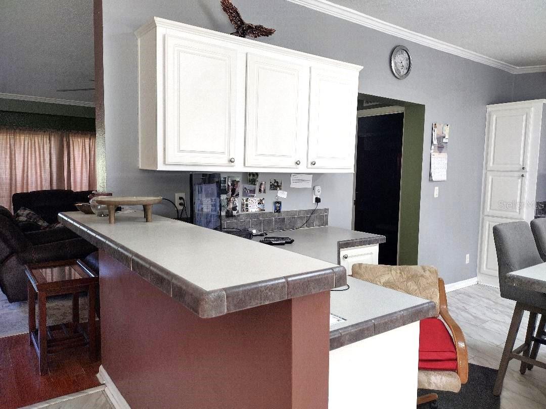 1558 CANDLEBERRY ST, BUNNELL, FL, 32110