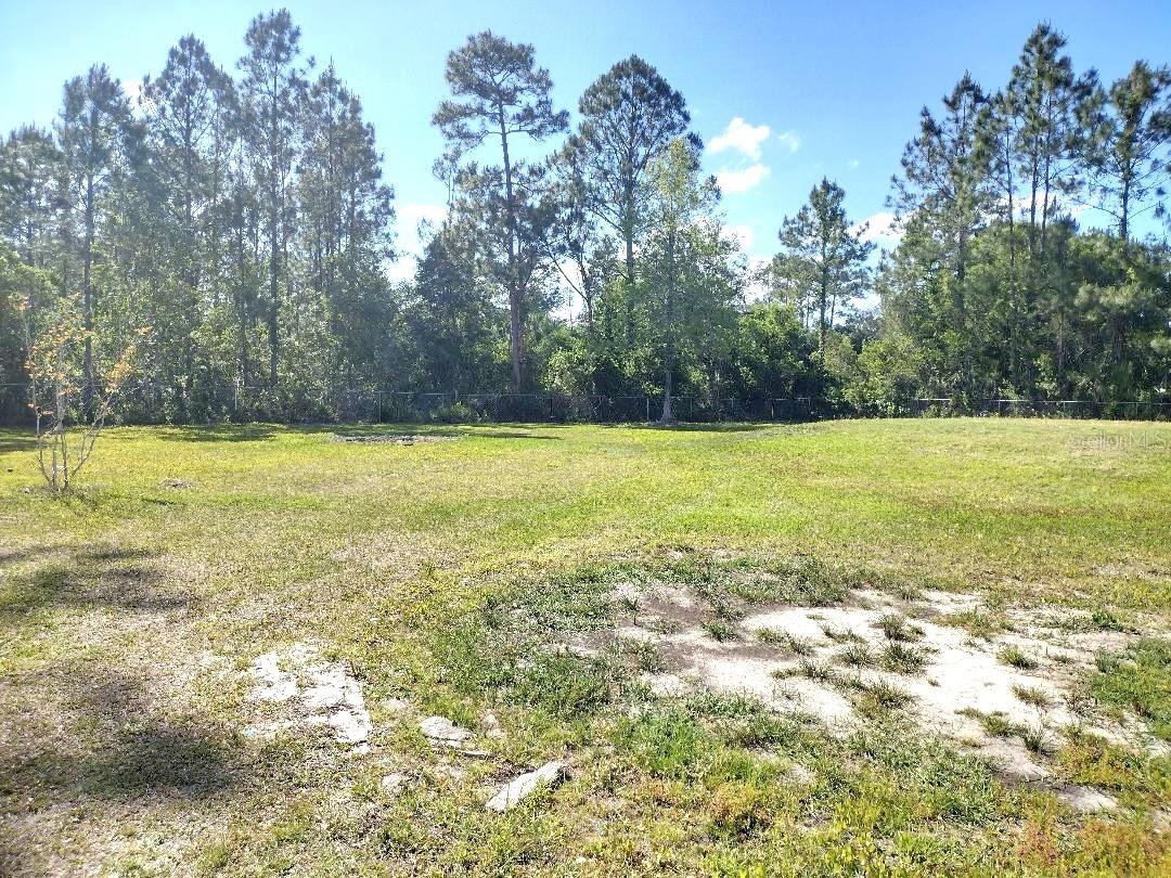 1558 CANDLEBERRY ST, BUNNELL, FL, 32110