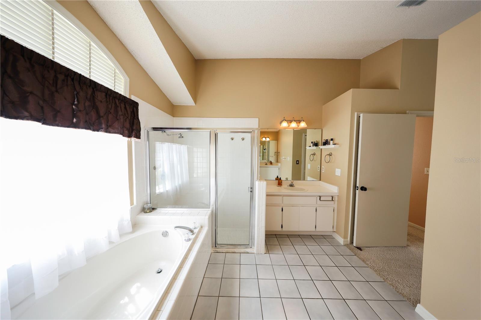 2943 PADDINGTON WAY, KISSIMMEE, FL, 34747