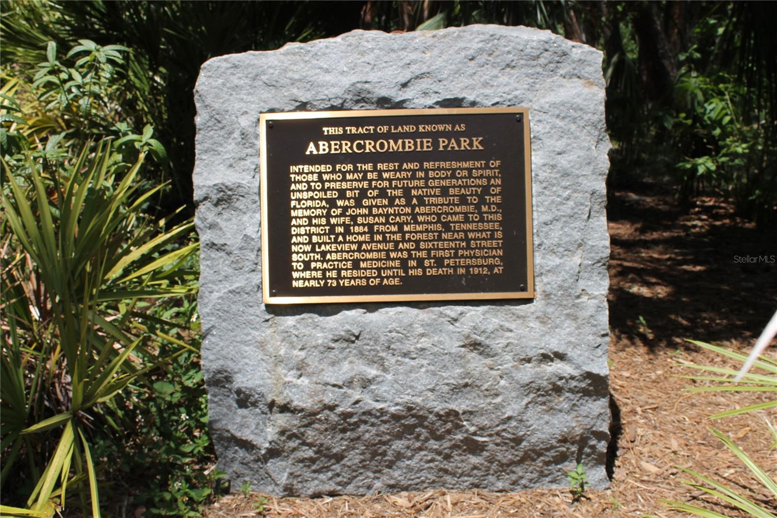 8347 41ST AVE N, ST PETERSBURG, FL, 33709