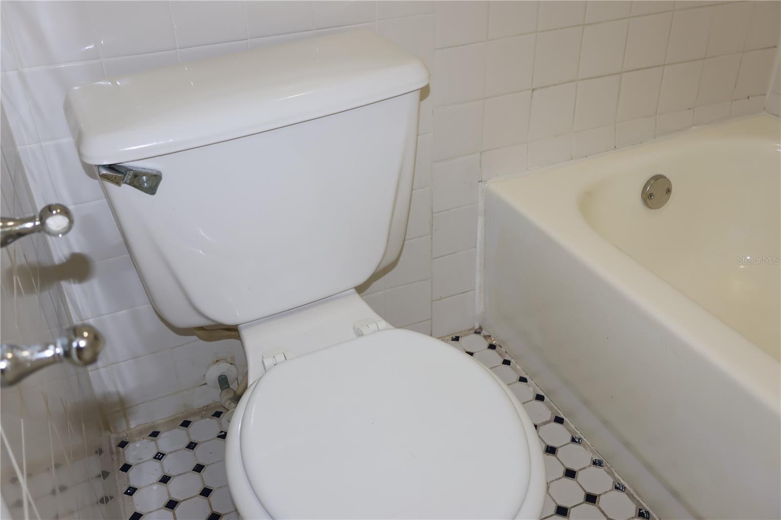 7609 ABBEY LN #B, TAMPA, FL, 33617