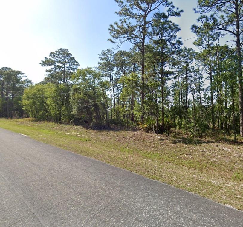 425 W HOMEWAY LOOP, CITRUS SPRINGS, FL, 34434