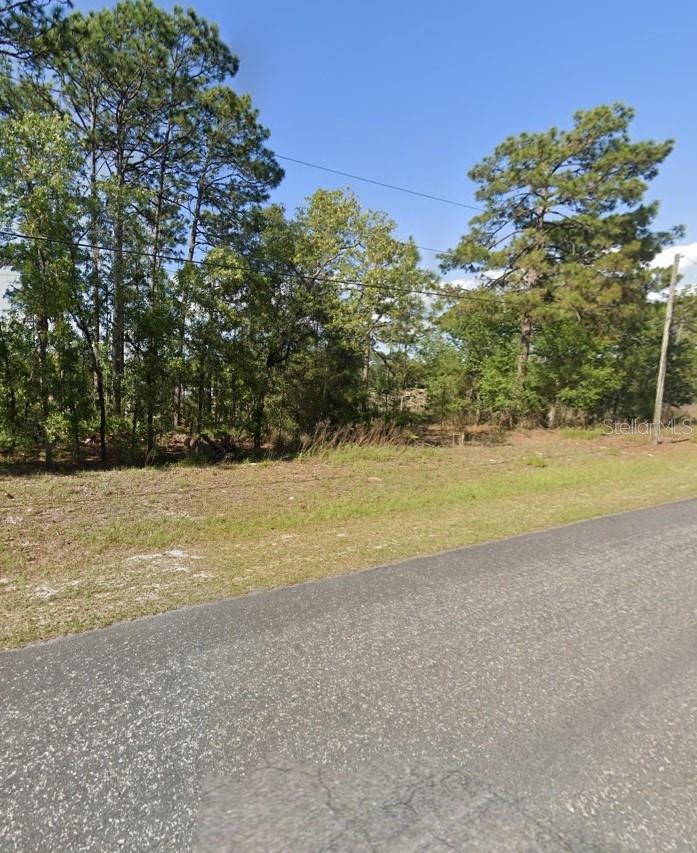 425 W HOMEWAY LOOP, CITRUS SPRINGS, FL, 34434