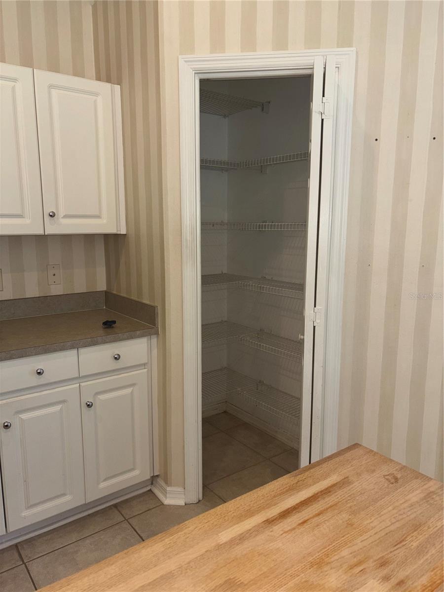 10132 HEATHER SOUND DR, TAMPA, FL, 33647