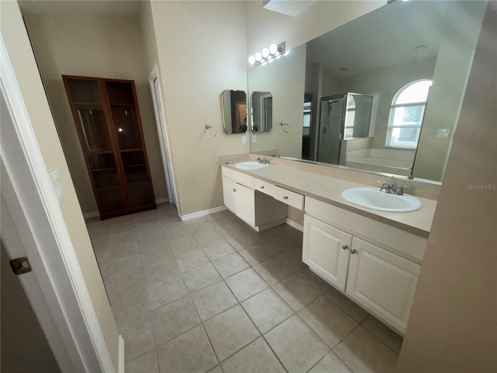 10132 HEATHER SOUND DR, TAMPA, FL, 33647