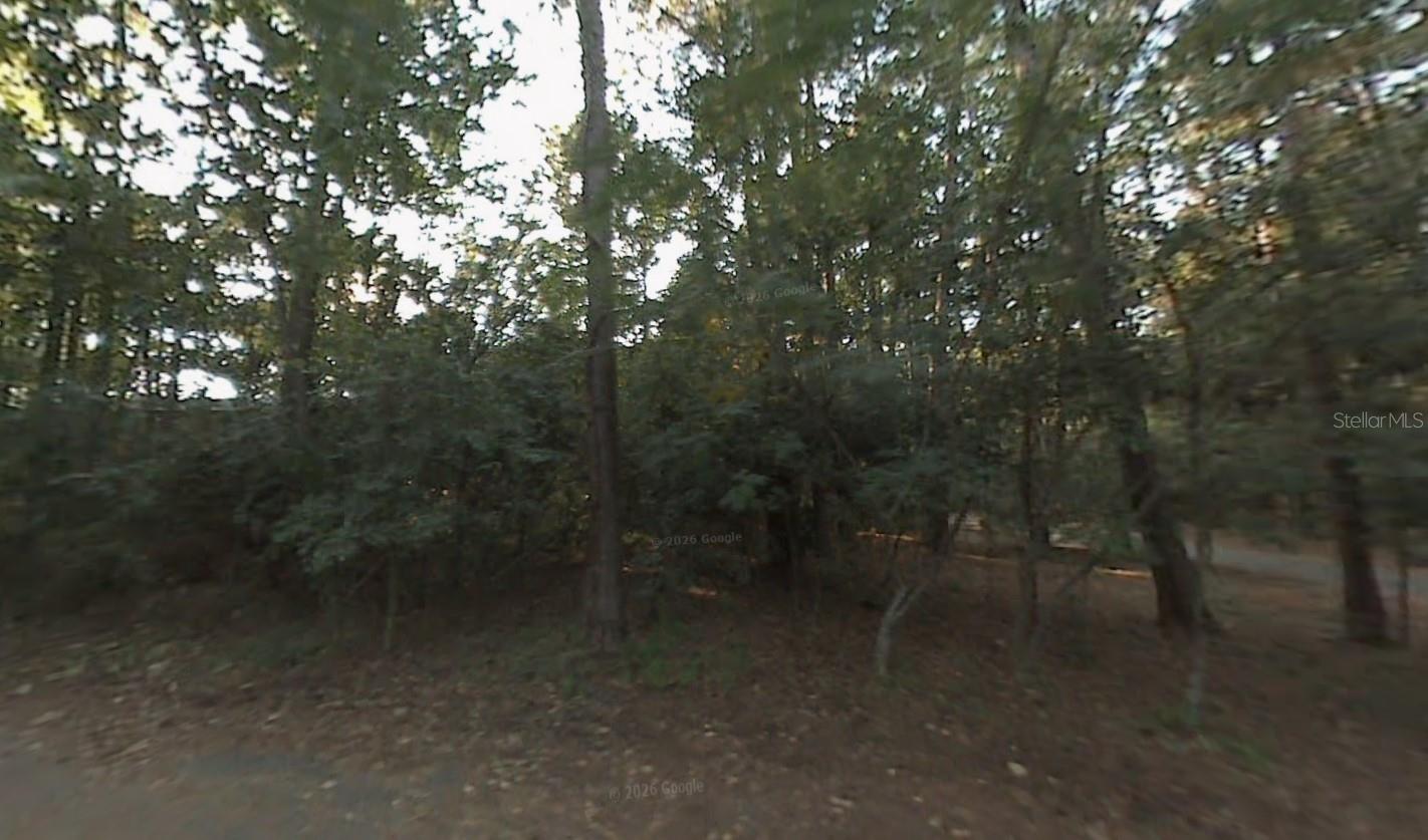 304 WOOD GROVE CT, TALLAHASSEE, FL, 32301