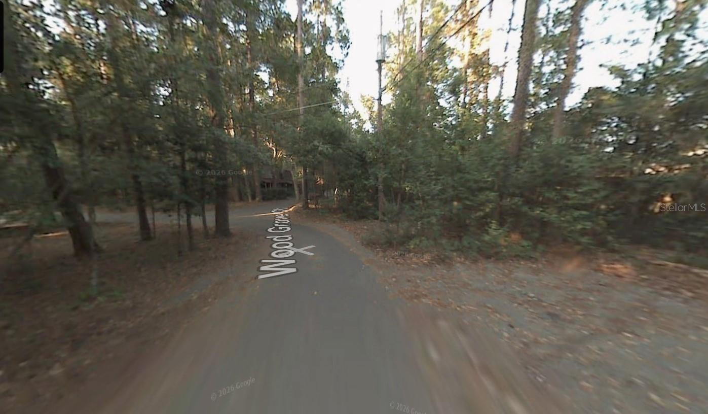 304 WOOD GROVE CT, TALLAHASSEE, FL, 32301