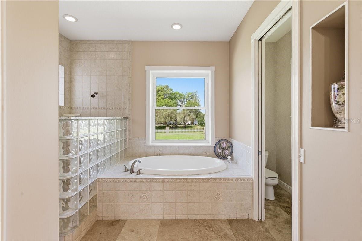 17825 SIMMS RD, ODESSA, FL, 33556