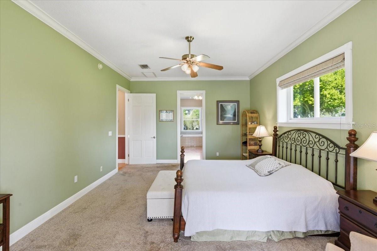 17825 SIMMS RD, ODESSA, FL, 33556