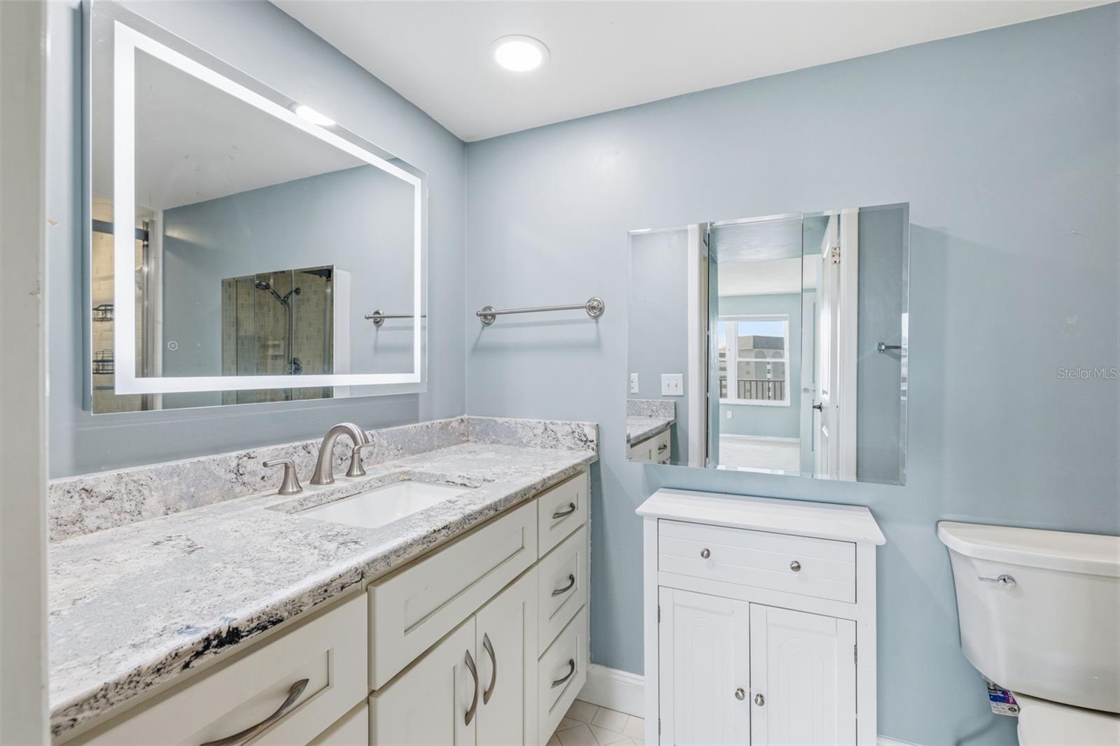 5220 BRITTANY DR S #901, ST PETERSBURG, FL, 33715