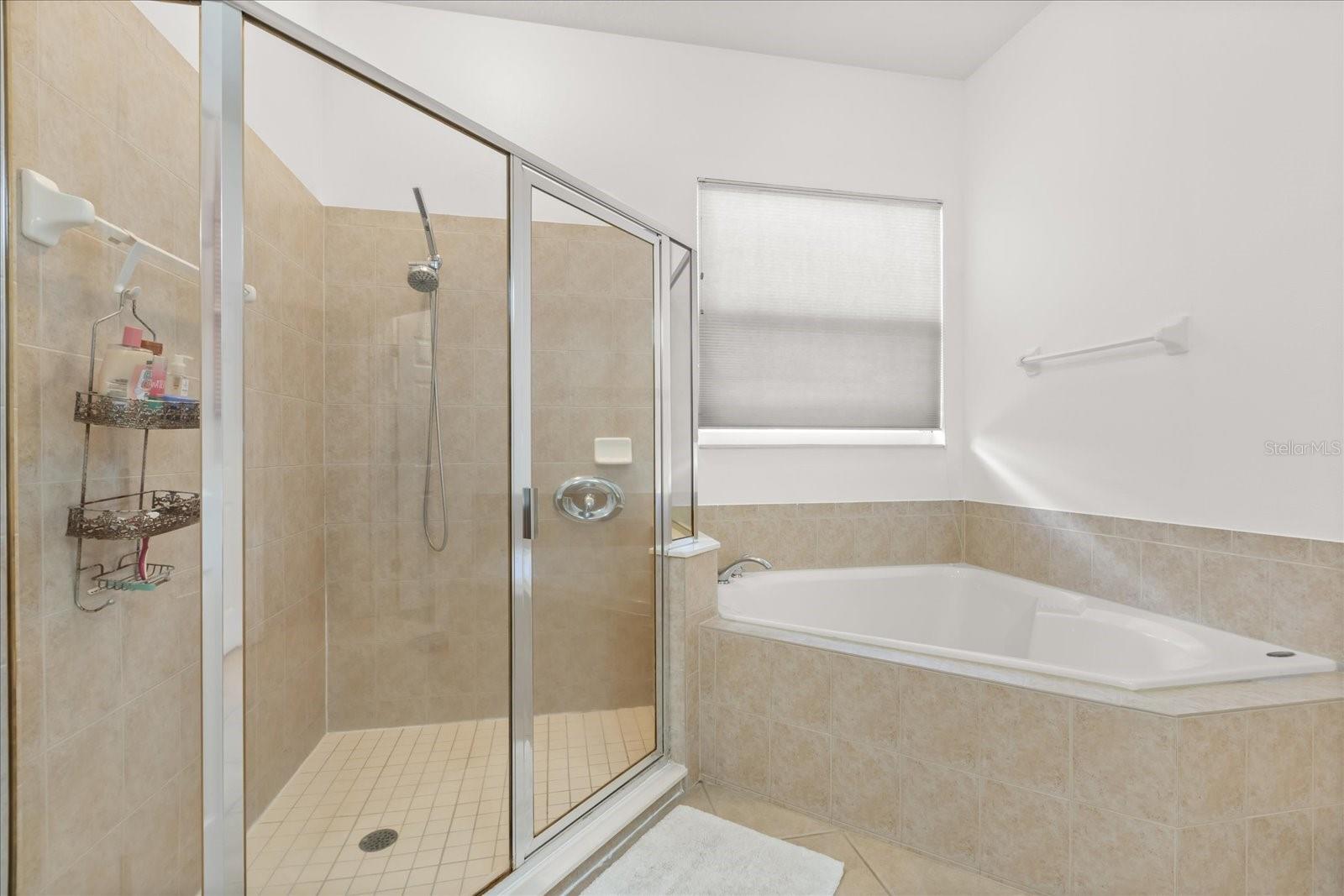 13010 ISLAMORADA DR, ORLANDO, FL, 32837