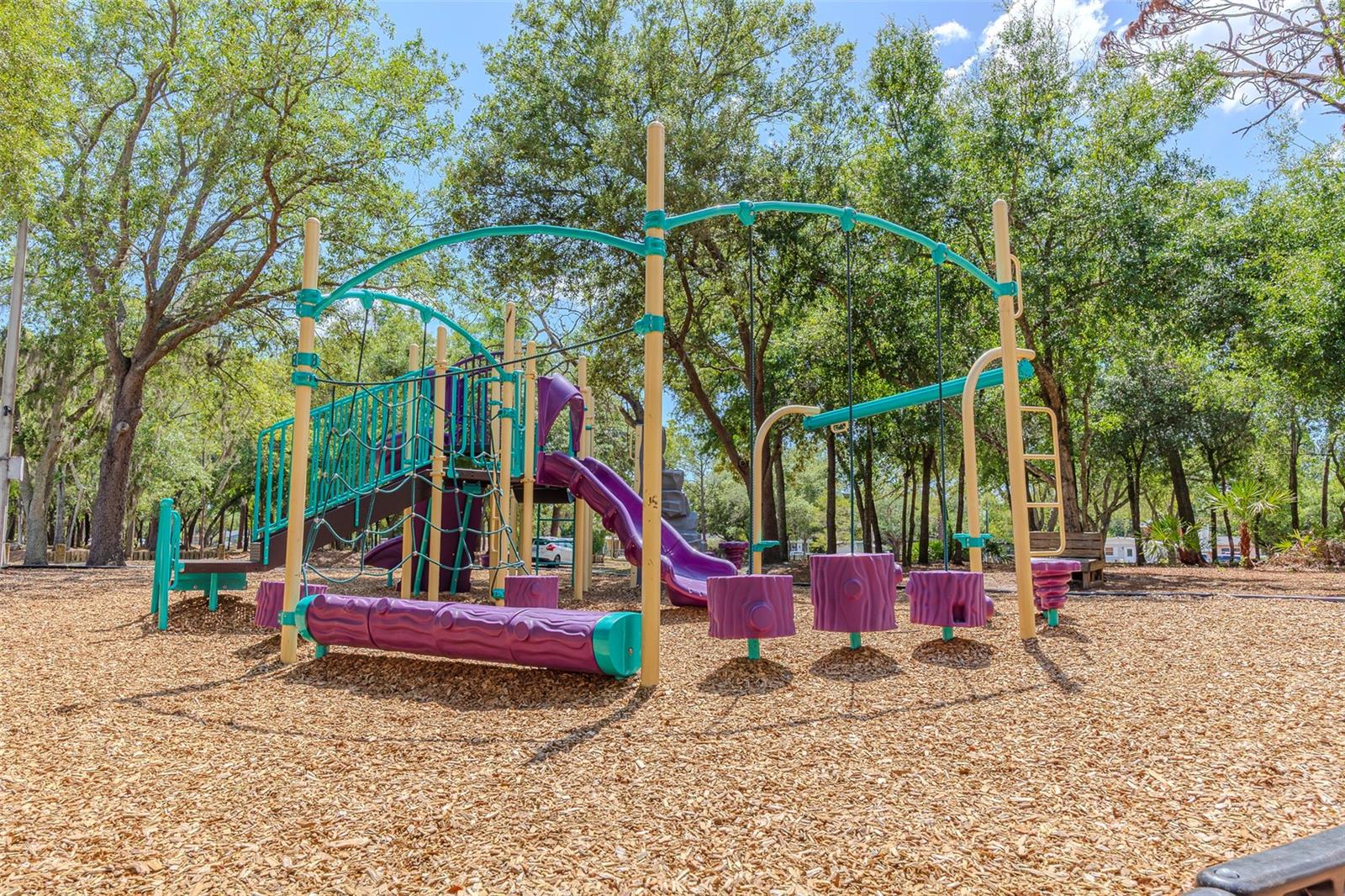 10904 N 15TH ST, TAMPA, FL, 33612