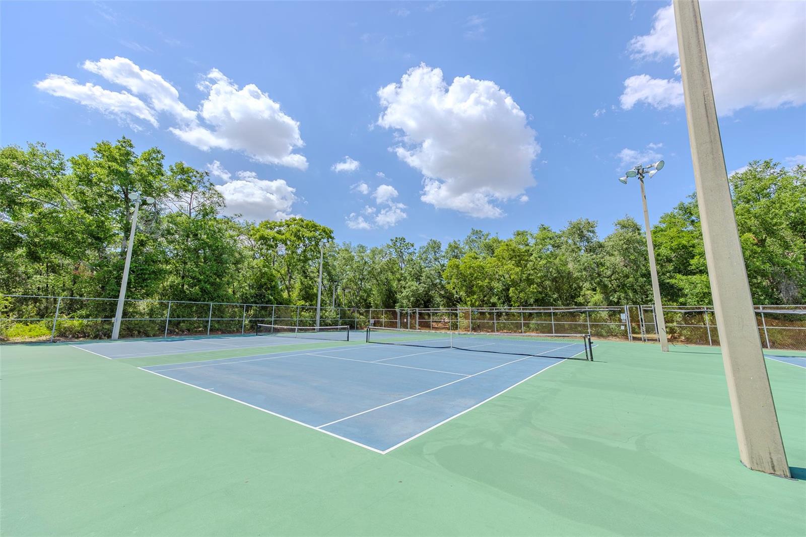 10904 N 15TH ST, TAMPA, FL, 33612