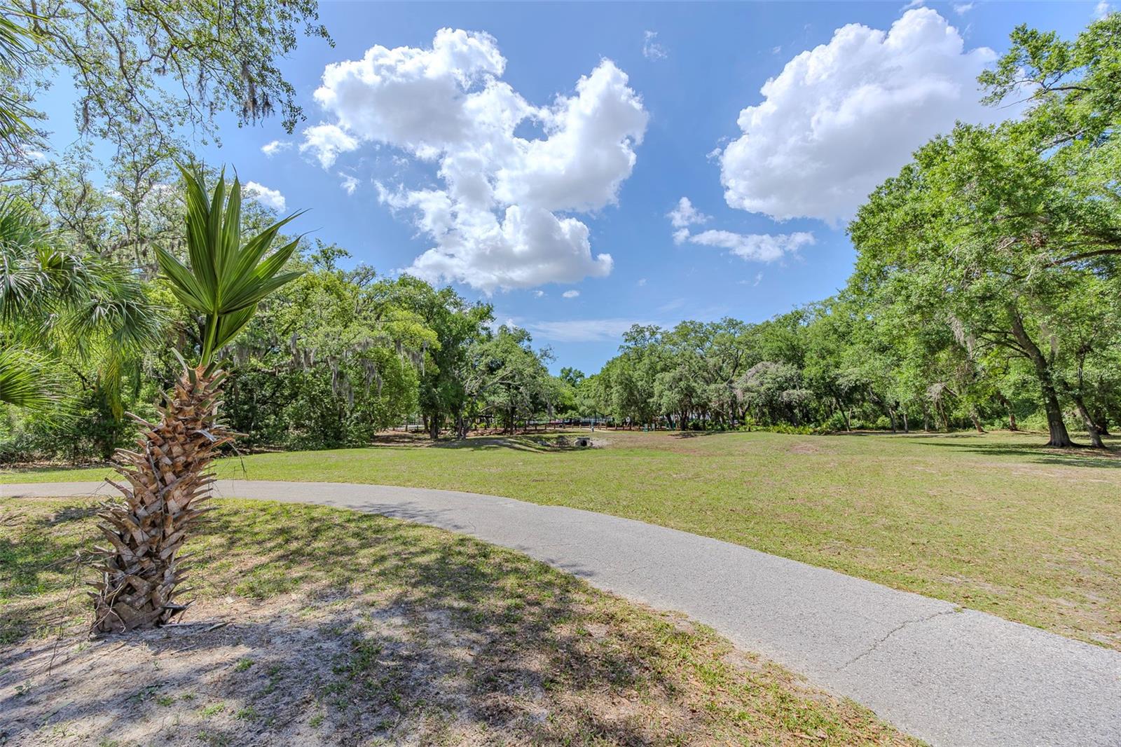 10904 N 15TH ST, TAMPA, FL, 33612