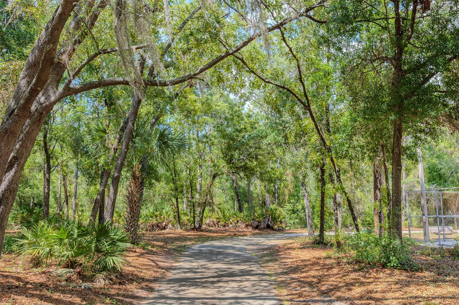 10904 N 15TH ST, TAMPA, FL, 33612