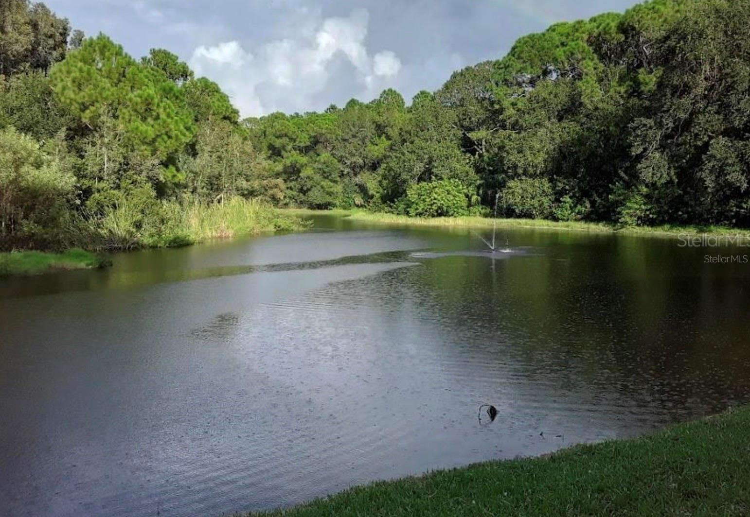 1400 GANDY BLVD N #703, ST PETERSBURG, FL, 33702