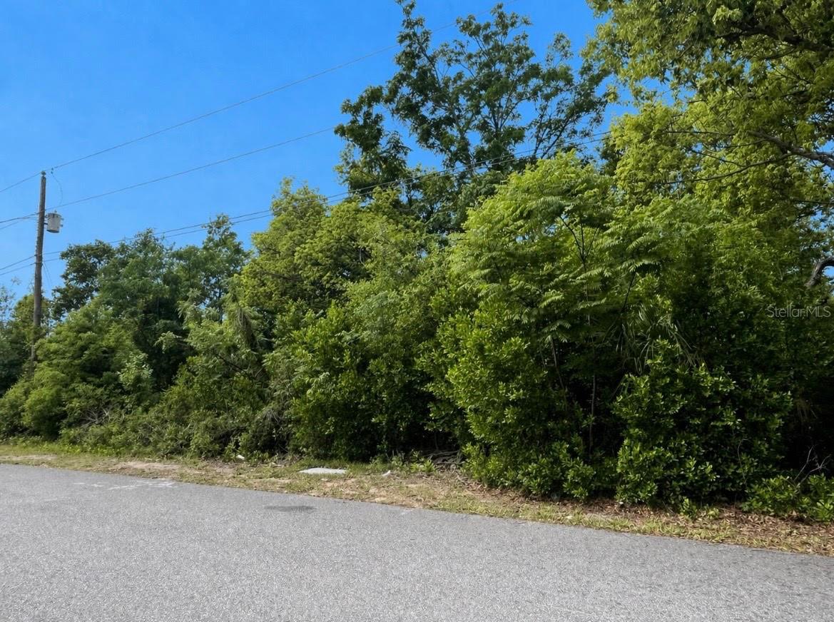 BOLGER AVE, SPRING HILL, FL, 34609