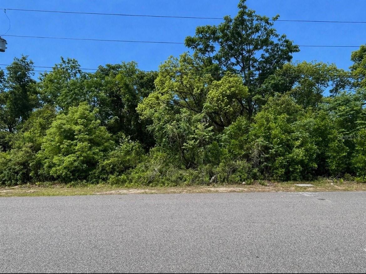 BOLGER AVE, SPRING HILL, FL, 34609