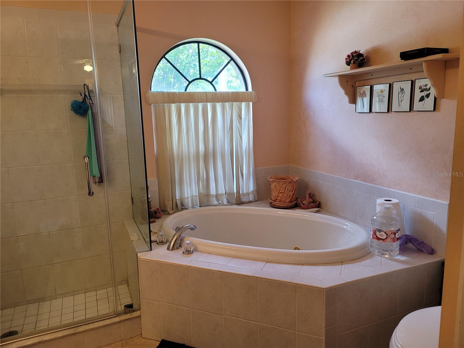 4729 DEER LODGE RD, NEW PORT RICHEY, FL, 34655