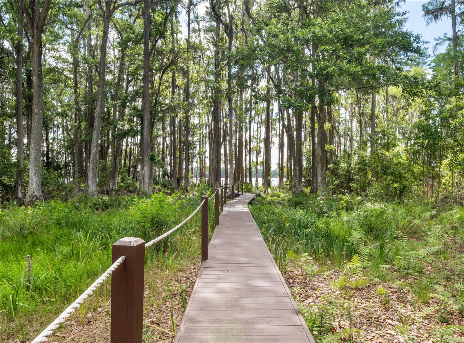 6043 LAKE ERIE RD, GROVELAND, FL, 34736