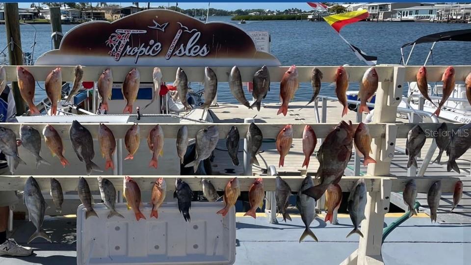 9 BASIN ST, PALMETTO, FL, 34221