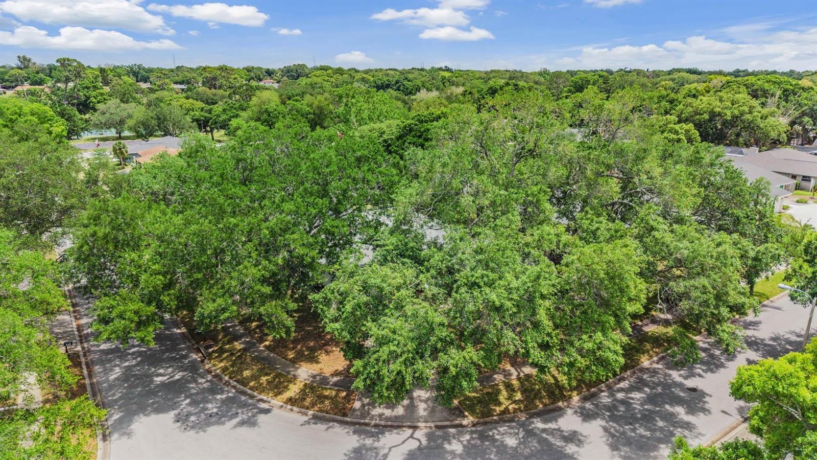 848 HILLSIDE DR, PALM HARBOR, FL, 34683