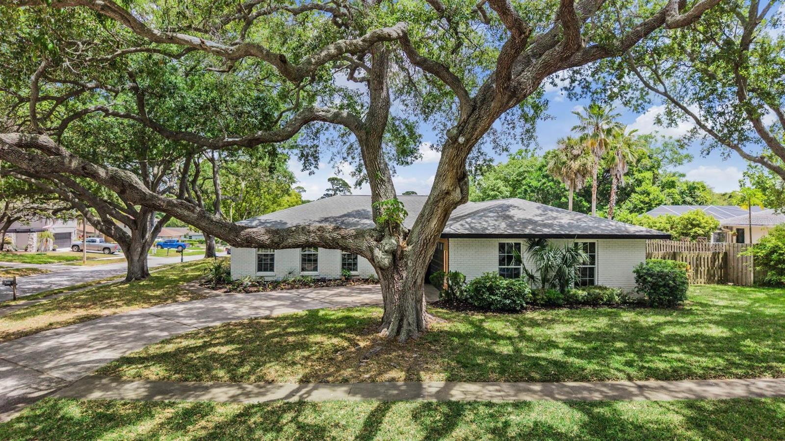 848 HILLSIDE DR, PALM HARBOR, FL, 34683