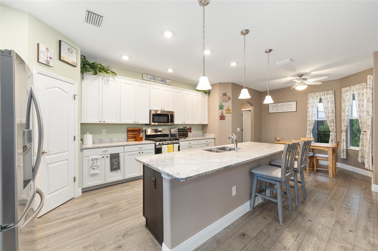 4258 JAMES RIVER CIR, LEESBURG, FL, 34748