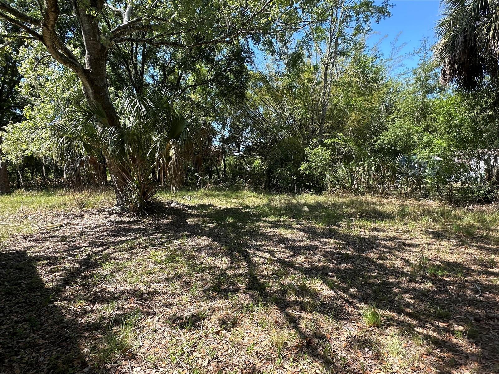 26314 GLENWOOD DR, WESLEY CHAPEL, FL, 33544