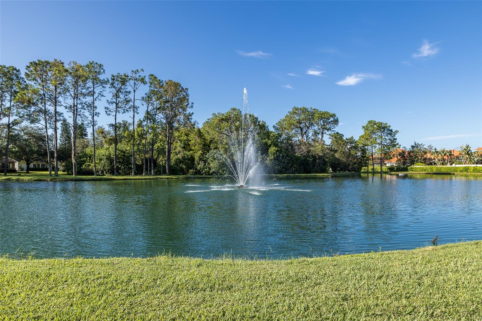 11428 HIDDEN COVE CT, NEW PORT RICHEY, FL, 34655