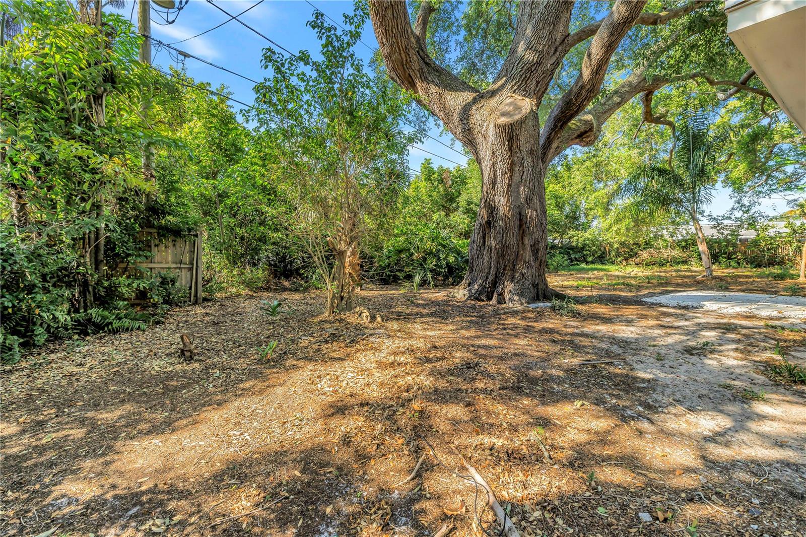 2161 NE HILLWOOD CT, CLEARWATER, FL, 33763