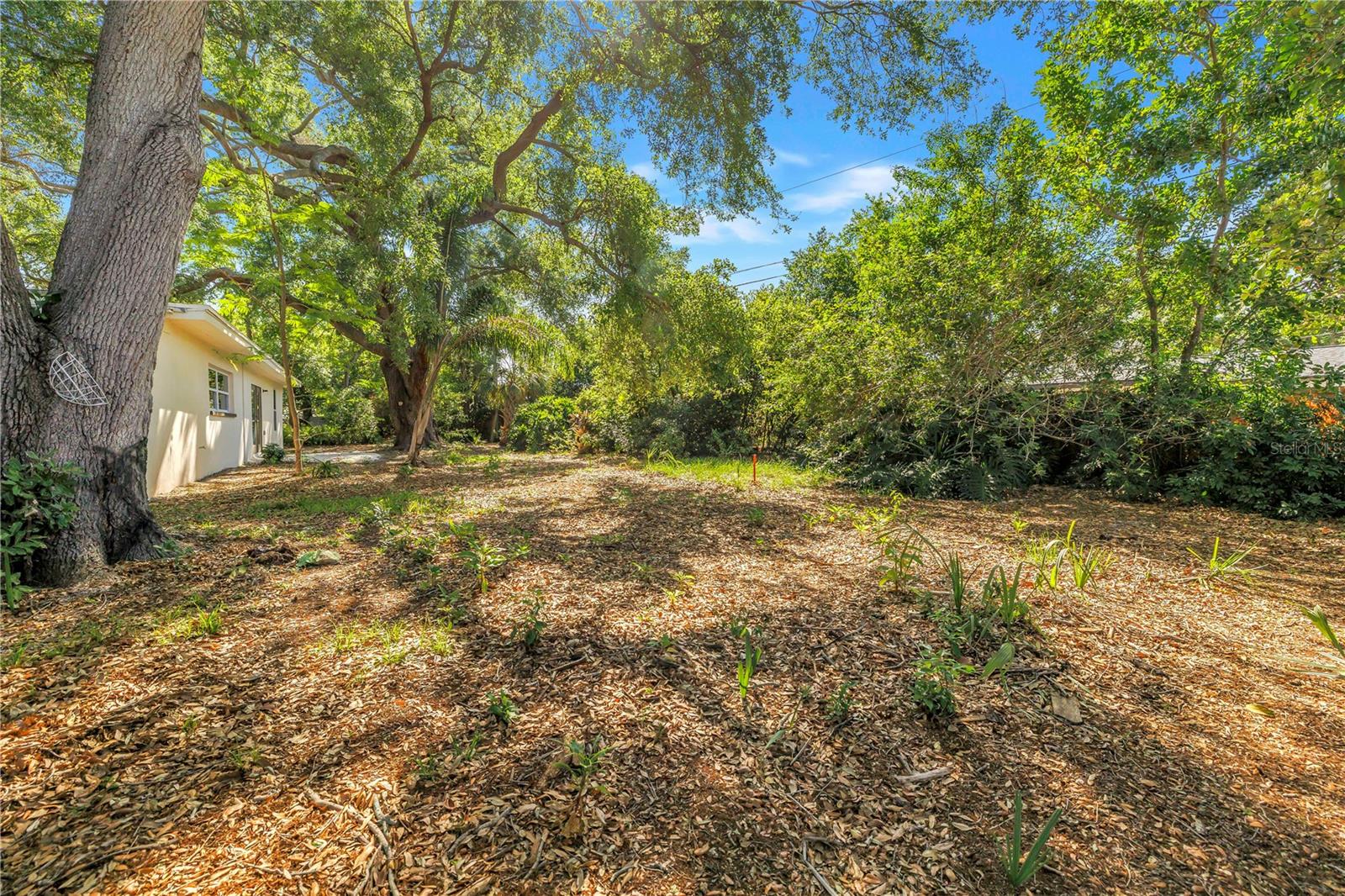 2161 NE HILLWOOD CT, CLEARWATER, FL, 33763