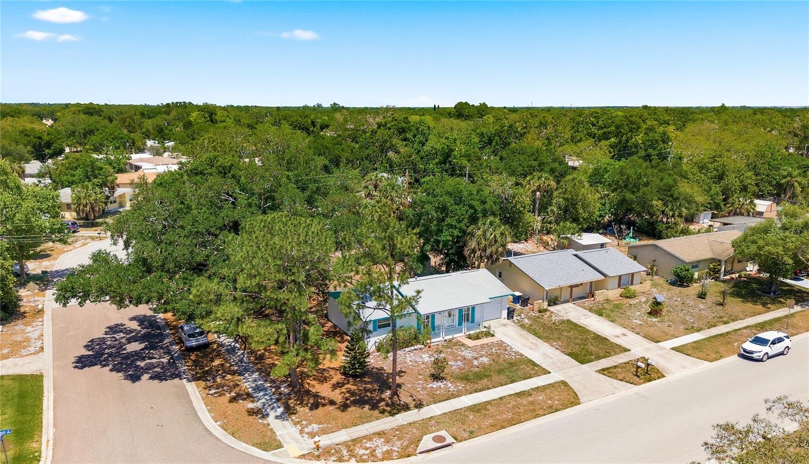 2876 EDENWOOD ST, CLEARWATER, FL, 33759