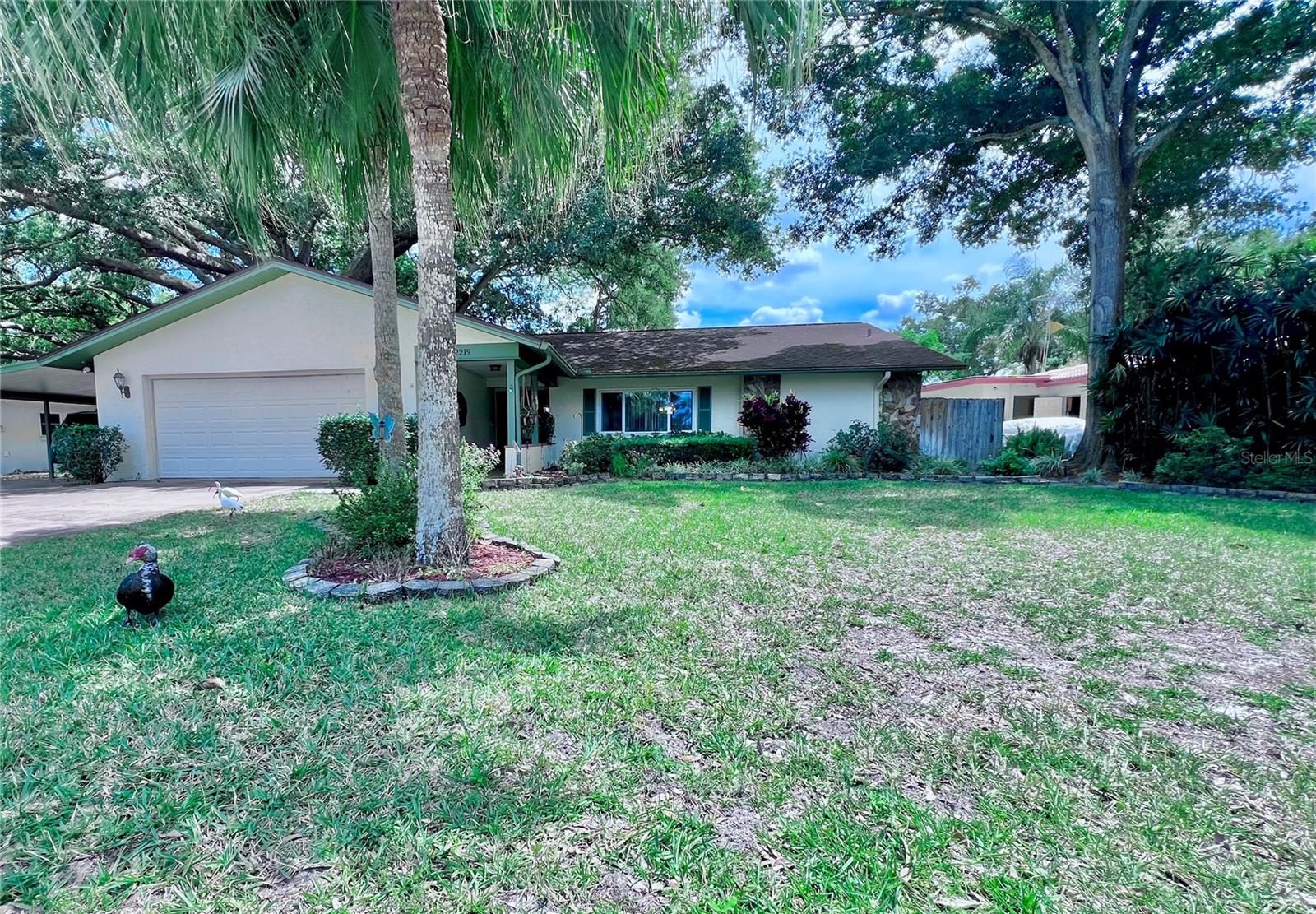 2219 ALICE LN, CLEARWATER, FL, 33764