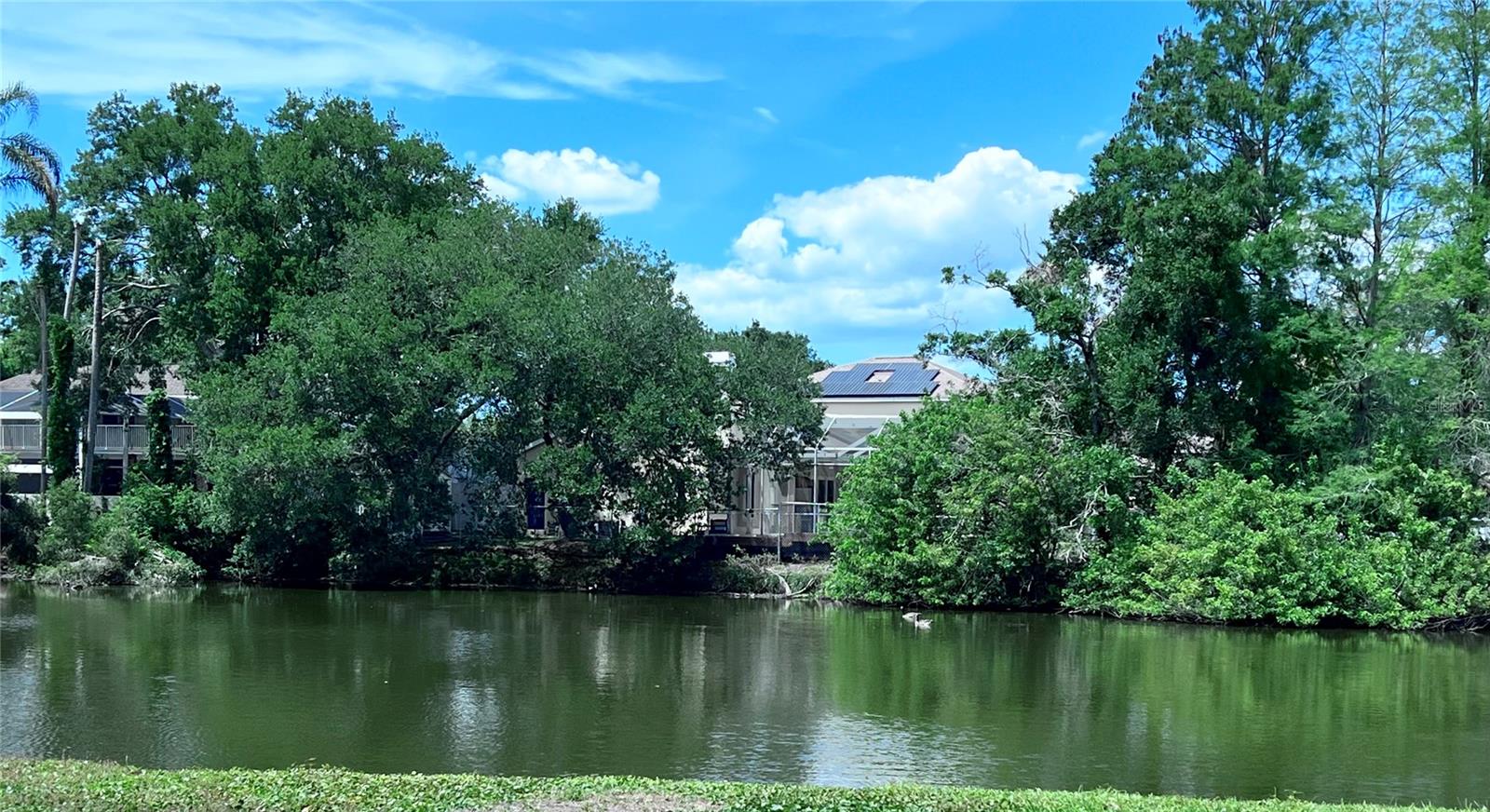 2219 ALICE LN, CLEARWATER, FL, 33764