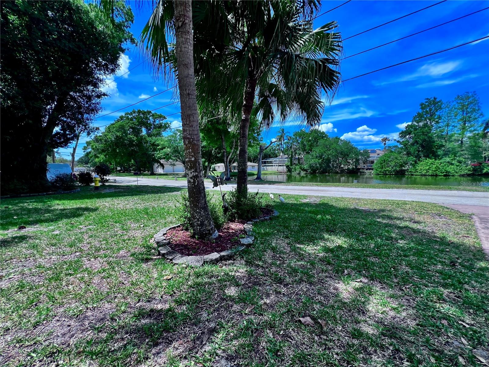 2219 ALICE LN, CLEARWATER, FL, 33764