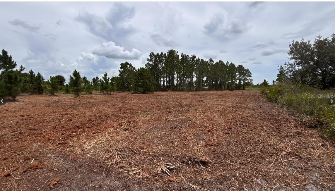 18121 NW 304TH ST, OKEECHOBEE, FL, 34972