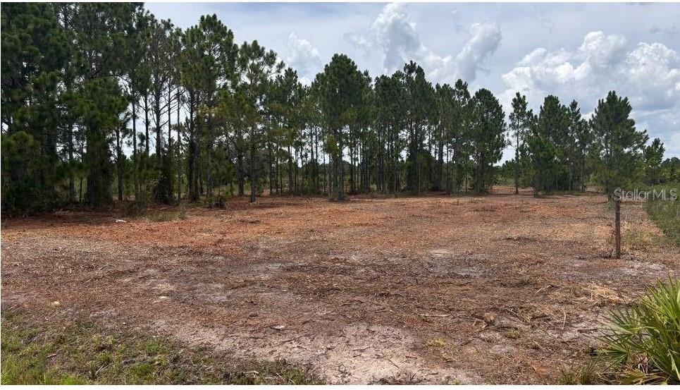 18121 NW 304TH ST, OKEECHOBEE, FL, 34972