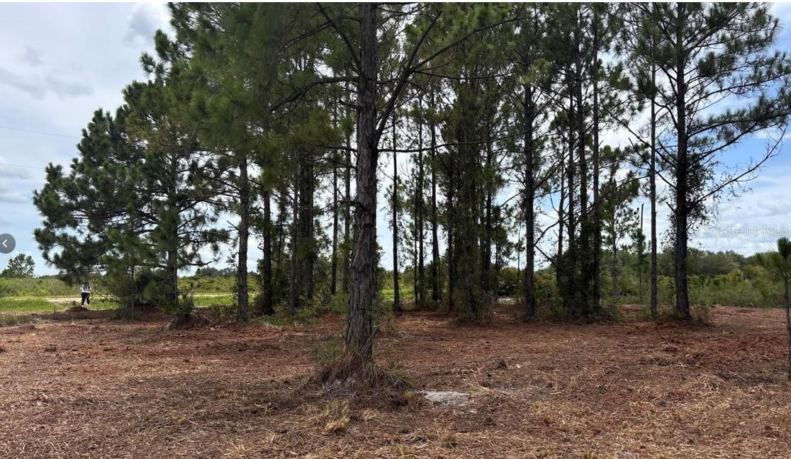 18121 NW 304TH ST, OKEECHOBEE, FL, 34972