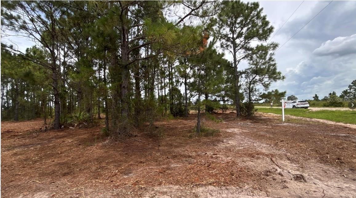 18121 NW 304TH ST, OKEECHOBEE, FL, 34972