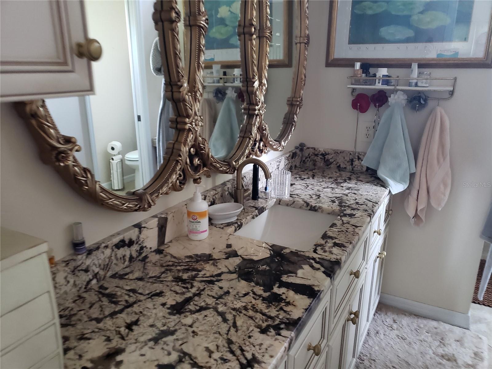 26045 NEWCOMBE CIR, LEESBURG, FL, 34748