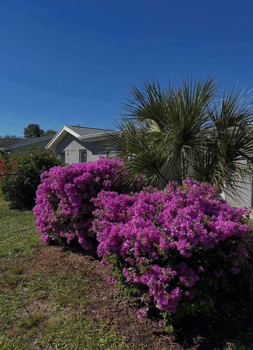 2824 SHANNON DR, PUNTA GORDA, FL, 33950