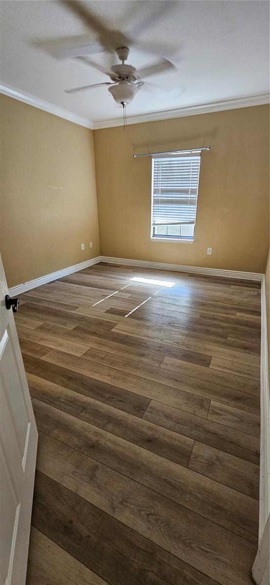 2107 PORTOFINO PL #3016, PALM HARBOR, FL, 34683