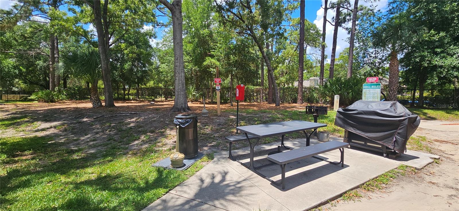 2107 PORTOFINO PL #3016, PALM HARBOR, FL, 34683
