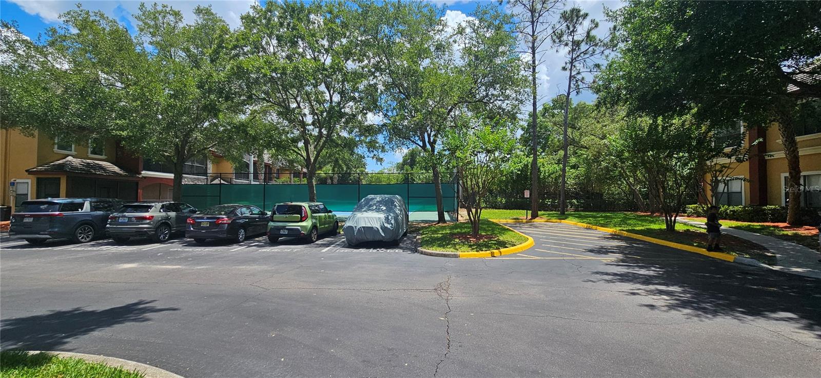 2107 PORTOFINO PL #3016, PALM HARBOR, FL, 34683
