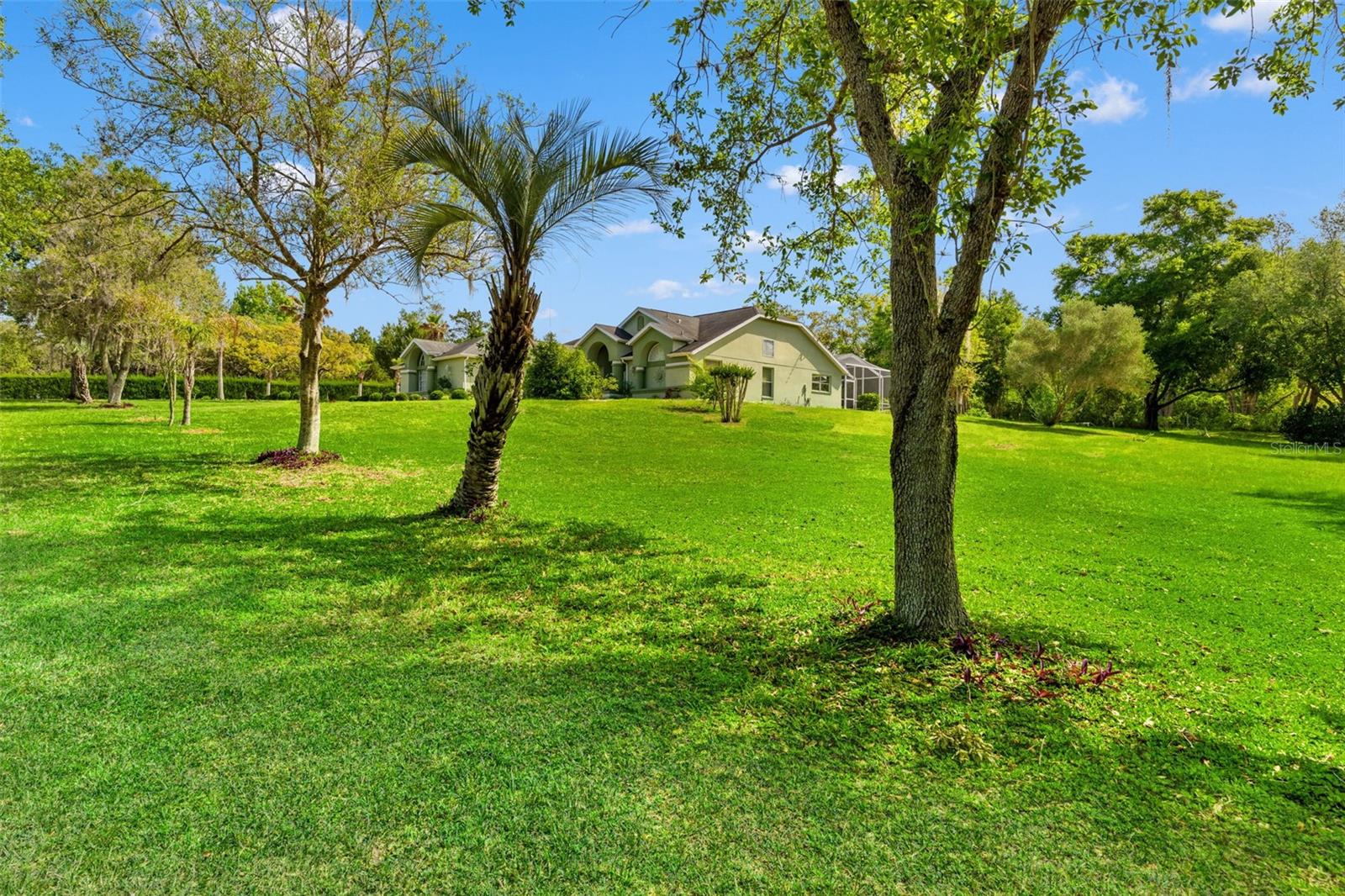 9050 WEEPING WILLOW ST, BROOKSVILLE, FL, 34613