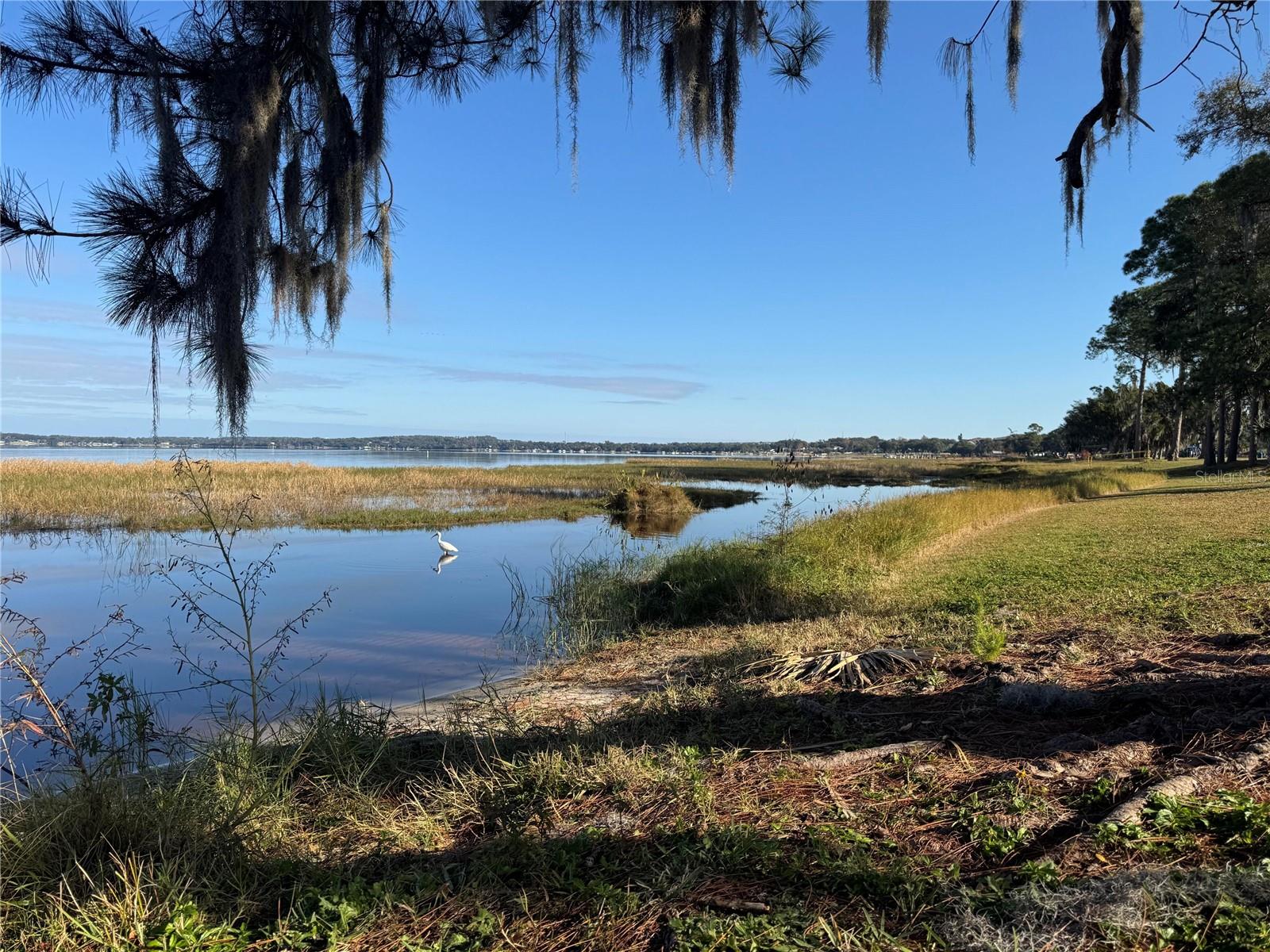 135 CARROLL ST, CLERMONT, FL, 34711