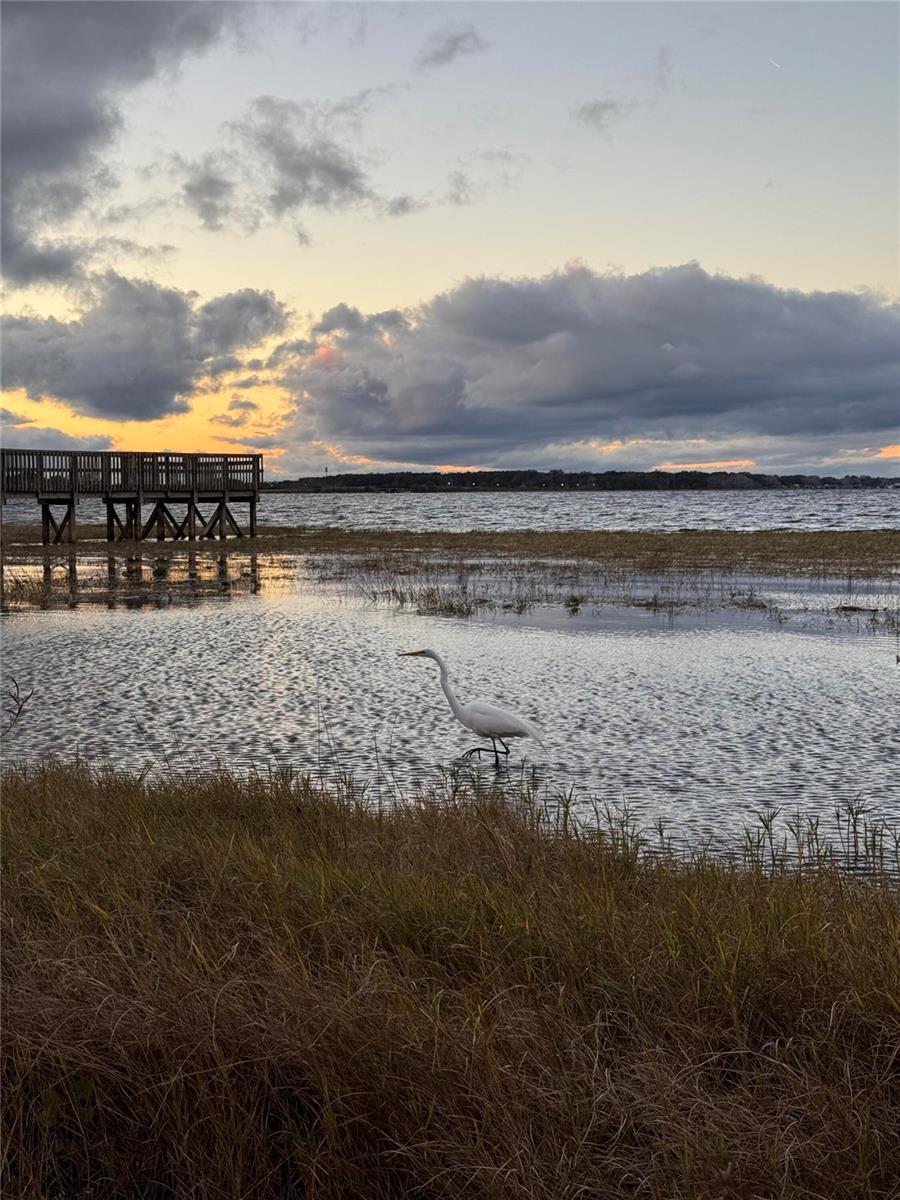 135 CARROLL ST, CLERMONT, FL, 34711